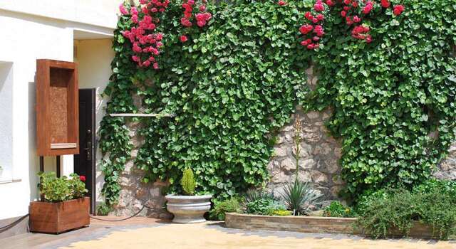 Гостевой дом Floral Courtyard Ялта-66